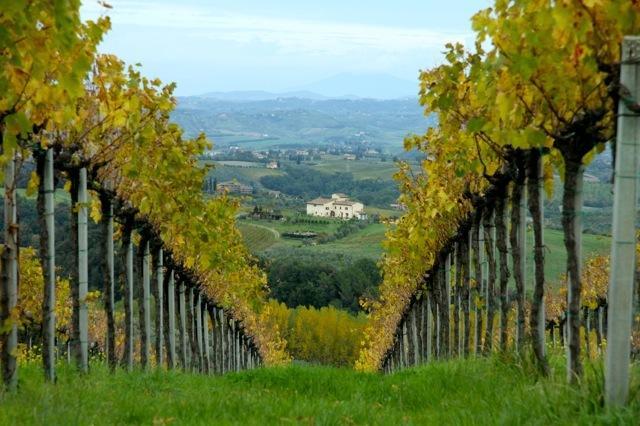 Agriturismo Podere La Marronaia San Gimignano Exterior foto